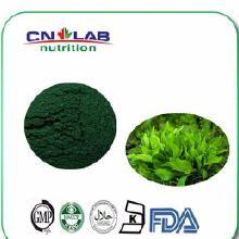 【螺旋藻膠囊片】螺旋藻膠囊片價格_螺旋藻膠囊片批發_螺旋藻膠囊片廠家_螺旋藻膠囊片大全 -