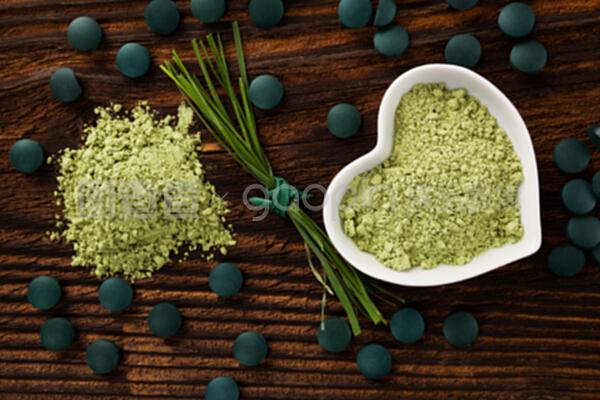 螺旋藻、球藻、大麥和麥草。