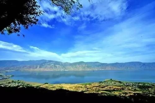 麗江特產(chǎn) 永勝程海螺旋藻