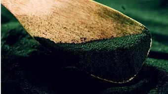 滇西程海湖 世界上最后天然堿水螺旋藻的綠色寶藏