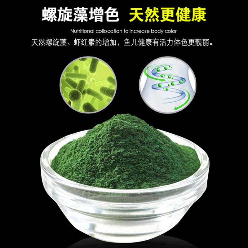 精選螺旋藻魚糧 為您的錦鯉、金魚、血鸚鵡等愛魚賦能增色